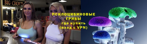 круглые Гусиноозёрск