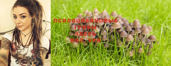 не бодяженный Гусев