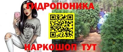 мяу мяу мука Тула