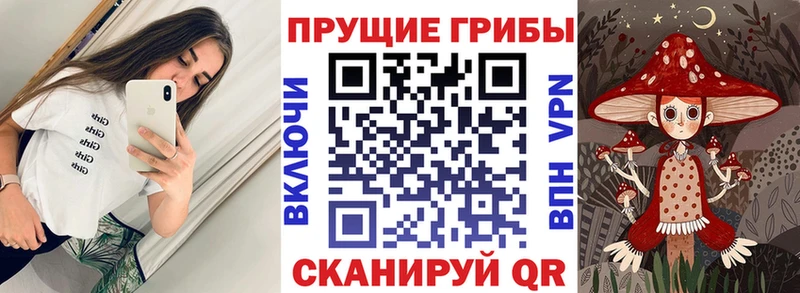 Галлюциногенные грибы прущие грибы hydra как зайти Саранск