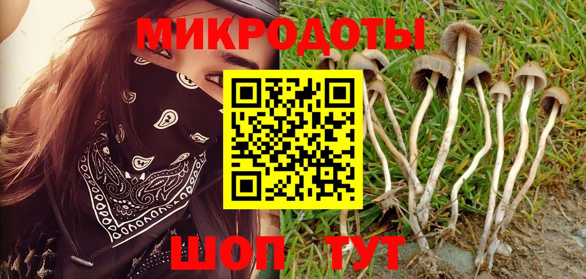 Саранск  Галлюциногенные грибы Psilocybe  наркошоп  Вход с VPN  Псилоцибиновые грибы Psilocybine cubensis 